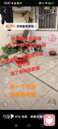 每一個生命都值得被尊重配圖