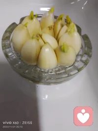 明白當(dāng)下什么是最重要的，什么是最值得自己在乎的，我們才有過(guò)得更好的可能性，就如詩(shī)人泰戈?duì)査?，有一個(gè)夜晚，我燒毀了所有的記憶，從此我的夢(mèng)就透明了，有一個(gè)早晨，我扔掉了所有的昨天，從此我的腳步就輕盈了配圖