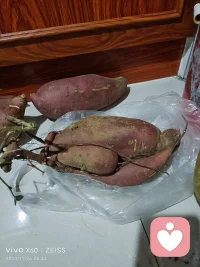 人有善愿天必从之配图