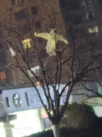 在路上可以耽于風景，卻不可忘記再度啟程。配圖