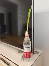 任何事在生命面前都顯得不那么重要配圖