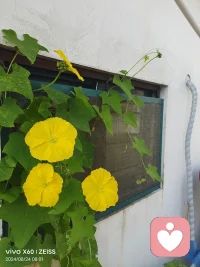 人最有魅力的時候，就是對周圍事情都不在乎的時候。配圖