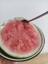 感情不在，责备也不存在。配图
