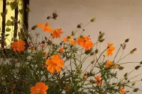 爱永远是好的，但生活不只有爱。不要把除自己以外的任何人当成支柱和依靠，要把大部分的精力放在努力提升自己这件事上来，被爱的时候有能力回应爱，不被爱的时候也有转身就走的勇气。配图