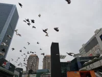 如果討厭一件事情，那就想辦法改變它。如果改變不了，那就試著改變自己的想法。配圖