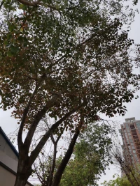 以前車馬很慢，一生只夠向一個人奔去，現在高鐵飛機很快，每天擦肩而過很多人，卻不知道該走向誰。有時候當我們拋開結果，去享受過程的時候，你會發現這一路上你吹過的風、遇到的人、看過的日出日落和喝過的酒，都會變成你區別于旁人的獨一無二的收藏。配圖