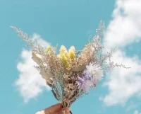 這個世界從來就不平等，只有時間最公平，你是懶惰還是努力，時間都會給出結(jié)果！現(xiàn)在付出多少時間和精力，都是在對未來的積累。你有多努力，就會有多特殊。配圖