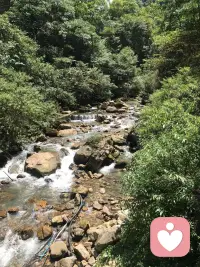 人其實不用一輩子聰明的，做一輩子聰明人太累了。一生中能做對幾次重要的選擇，然后安然的笨并幸福著就夠了。配圖