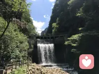 愛情是看不到對方的缺點(diǎn)，婚姻是只看得到對方的缺點(diǎn)；在喜歡你的人那里去熱愛生活，在不喜歡你的人那里去看清世界配圖