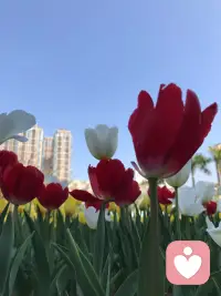 一段感情里，你確定對方不會離開，是安全感！你確定自己不會離開，是歸屬感！雙方都確定不會離開，才是幸福感配圖