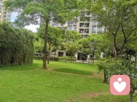 人的手就那么大，握不住的東西太多了，要學會和自己和解。別貪心，我們不可能什么都有，也別灰心，我們不可能什么都沒有。配圖