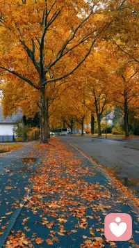 舒適的關系，應該是你給我距離，我還你分寸，你給我珍惜，我還你值得。配圖