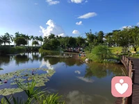 之所以聽過許多道理依然過不好這一生，因為人的本性就是不講道理。配圖