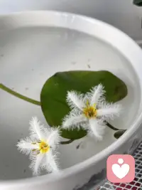 世上所有的驚喜和好運，都是你積累的溫暖與善良！配圖