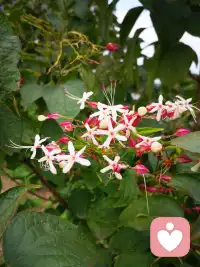 這個世界可能會扔給我們很多問題，我們?nèi)鄙俚膹膩聿皇墙鉀Q問題的方法，而是底氣。配圖