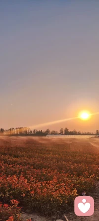 不用取悅?cè)魏稳耍挥眉刀嗜魏稳耍邮懿⒃试S自己平凡，健康快樂的度過一生足已。配圖