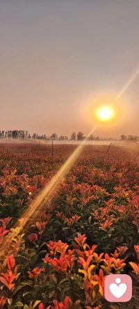生活，簡單點就好，復雜了會變質；快樂出現的時候，享受快樂；難過了，就盡情釋放自己的情緒。配圖