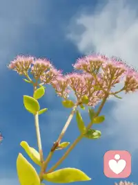 人生路遙值得愛的東西很多，不要因為一個不滿意就灰心。
人生本來就是一場即興演出，沒有做不成的夢，只有不早醒的人。配圖