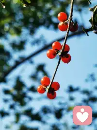 能讓你精致的，除了化妝品，還有知識和努力。你羨慕的生活背后，都有你沒吃過的苦。配圖