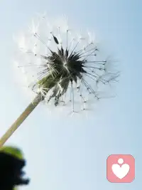 遠(yuǎn)處的是風(fēng)景，近處的才是生活配圖