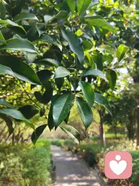 不要和重要的人，計較不重要的事；不要和不重要的人，計較重要的事。配圖