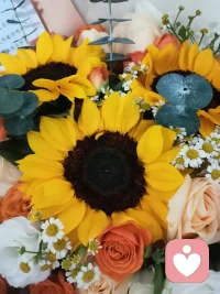 世间的爱都是为了团聚，唯有父母的爱是为了别离。配图