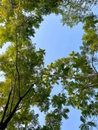 人生不是只做值得的事，亦不需要時時刻刻講道理，最好的道理源于生活本身。配圖