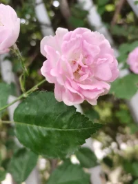 家長(zhǎng)們總是會(huì)說孩子玩游戲上癮，就應(yīng)該把游戲禁掉！但是沒有去思考孩子為什么會(huì)玩游戲，玩手機(jī)上癮？因?yàn)樵诂F(xiàn)實(shí)生活中他找不到自己的價(jià)值，但是在游戲當(dāng)中可以，現(xiàn)實(shí)當(dāng)中他不快樂，但是游戲中可以有成就感，那么究竟是游戲的問題，還是孩子出了問題呢？配圖