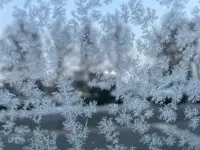 一站有一站的風景，我們提著過去走向人群