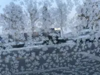 一站有一站的風景，我們提著過去走向人群