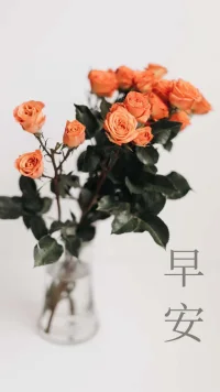 要相信，这个世界美好总要多过阴暗，欢乐总要多过苦难，还有很多事，值得你一如既往的相信。世界很美好，你也很重要！早安！配图