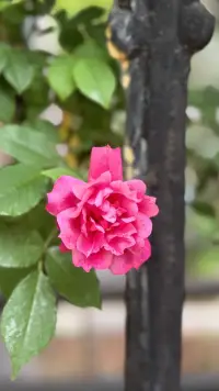 世間萬(wàn)物都在治愈你，唯獨(dú)你不肯放過那個(gè)遍體鱗傷的自己.配圖