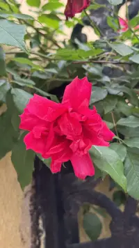 世間萬(wàn)物都在治愈你，唯獨(dú)你不肯放過那個(gè)遍體鱗傷的自己.配圖