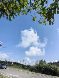 我喜歡生活的大部分時間朝向外部世界。
我也珍惜那些自我內(nèi)省的時光，
探索自己、冥想和思考。

——卡爾·羅杰斯配圖