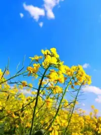 炎炎夏日，忙忙碌碌…人活着究竟为了什么？配图