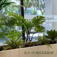 早上好??
傾聽(tīng)?zhēng)熼_(kāi)始工作了配圖