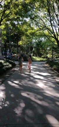 教育是爱与被爱的修行。当你感觉孩子不听话时，得反问一下：你知道孩子在想什么吗？孩子的大脑其实还没发育成熟，和大人的思维，行为就会不一样