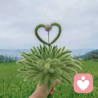 最近小區里有老人過世，五歲的孩子就問我，人到底有沒有靈魂，這個深奧的問題我也不能很好的回答孩子，只能在他不斷的成長中去思索了配圖