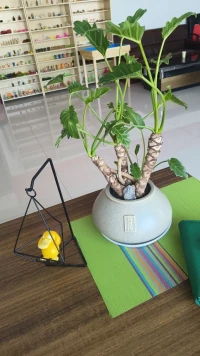 面由心生，做一個(gè)心靜與善意的人，
青春不是年華，是自律下價(jià)值的外觀。配圖