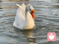 適當的焦慮也是自我的行動動力，也是生存的動力，但如果焦慮阻止了自己的前進，就需要考慮，如何減少焦慮了呢配圖