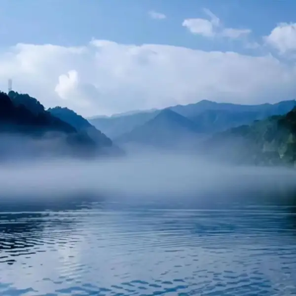 無憂??傾聽
