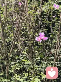到大自然中來，體驗(yàn)自然配圖