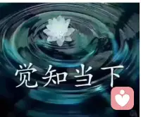 當“不滿意”住在心里的時候，外境怎么呈現都沒有用，反正都是“不滿意”，雞蛋里也可以挑出石頭。配圖