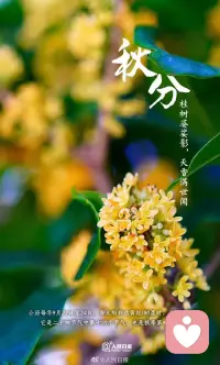 又到了金桂飄香的季節，你喜歡嗎？這個季節代表豐收，還代表什么呢？配圖