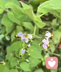 說到愛，想要讓愛流動，心里堆滿了怨恨，恐懼，抱怨，失落等垃圾病毒，塞的死死的，怎么能流動？至少的疏通釋放出空間吧配圖