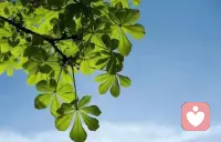 大自然很美，只是缺少發(fā)現(xiàn)它的眼睛配圖