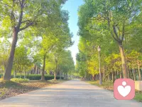 看到這張照片你是感覺心情舒暢，馬上走到出口，還是路越來越狹窄呢，同一個圖片，那個人看到的都是自己的內心。配圖