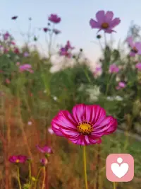 開工第一天，心情如何，有沒有想繼續躺平，會不會壓力山大呢，歡迎您來傾訴配圖