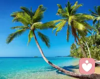 面朝大海，春暖花開配圖