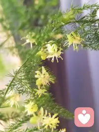 有多少人認識呢說說看配圖